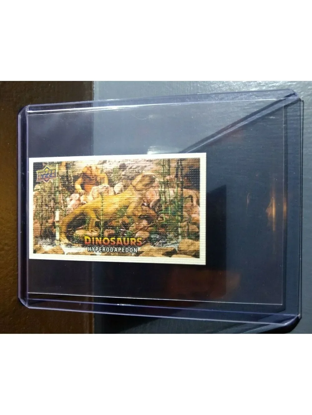 2015 Upper Deck Dinosaurs Canvas Mini Hyperodapedon #72 Trading Card